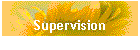Supervision