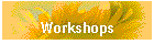 Workshops