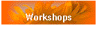 Workshops
